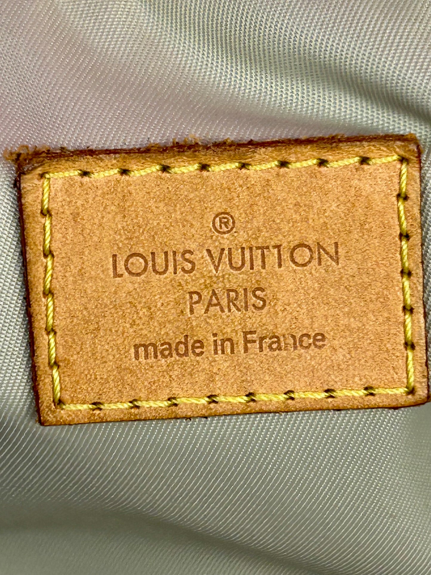 Louis Vuitton Damier Géant Bumbag