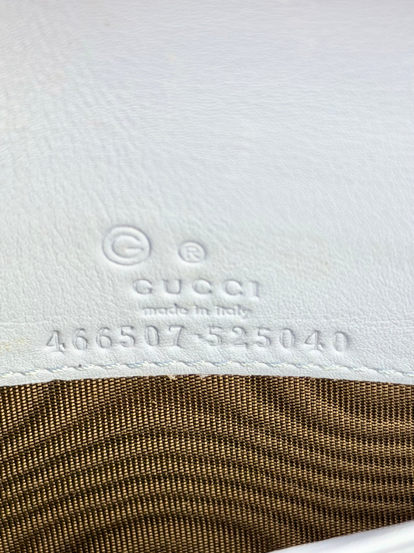 Blue Microguccimissia Wallet on Strap