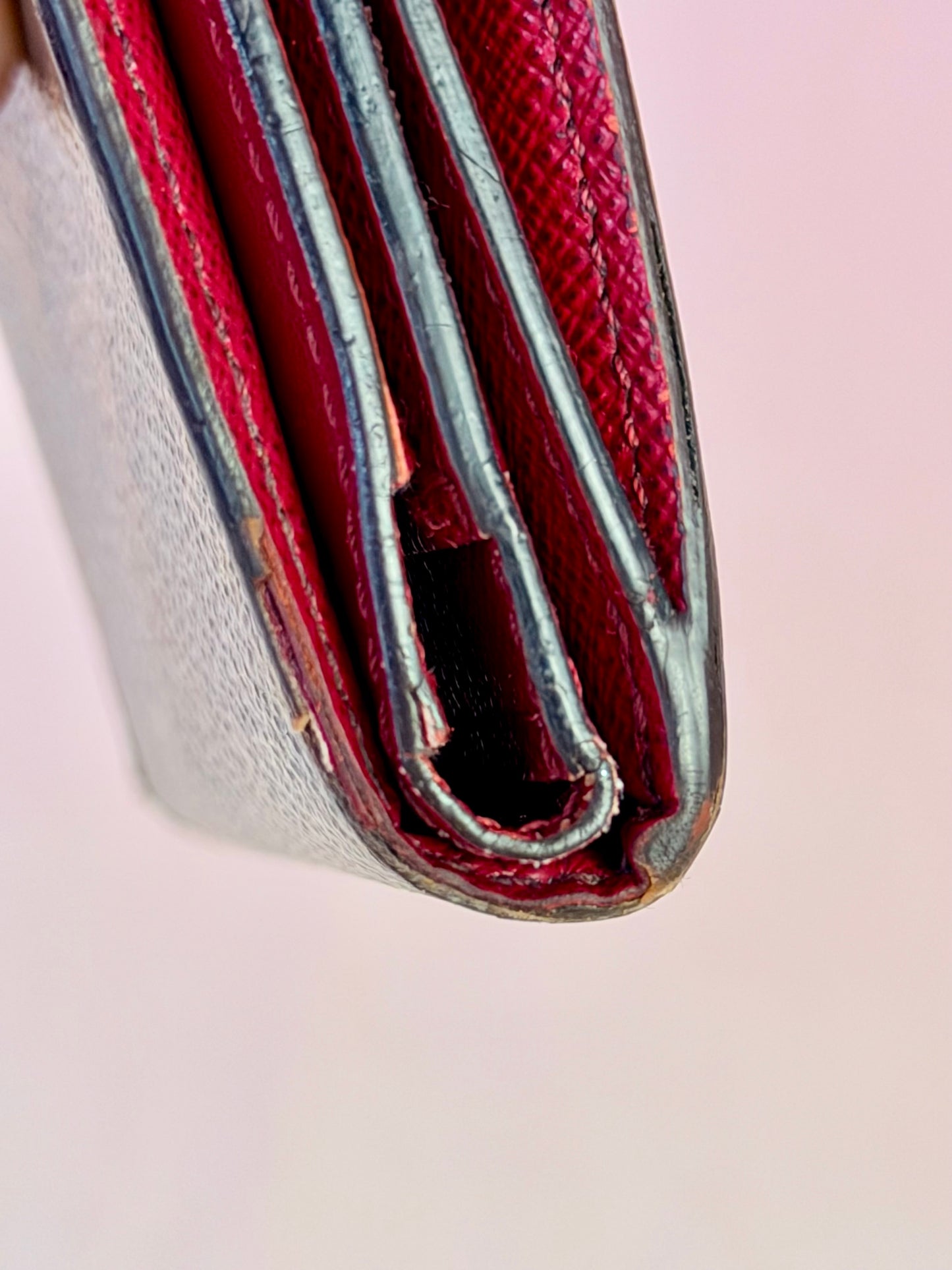 Zoe Wallet in Mono/Berry