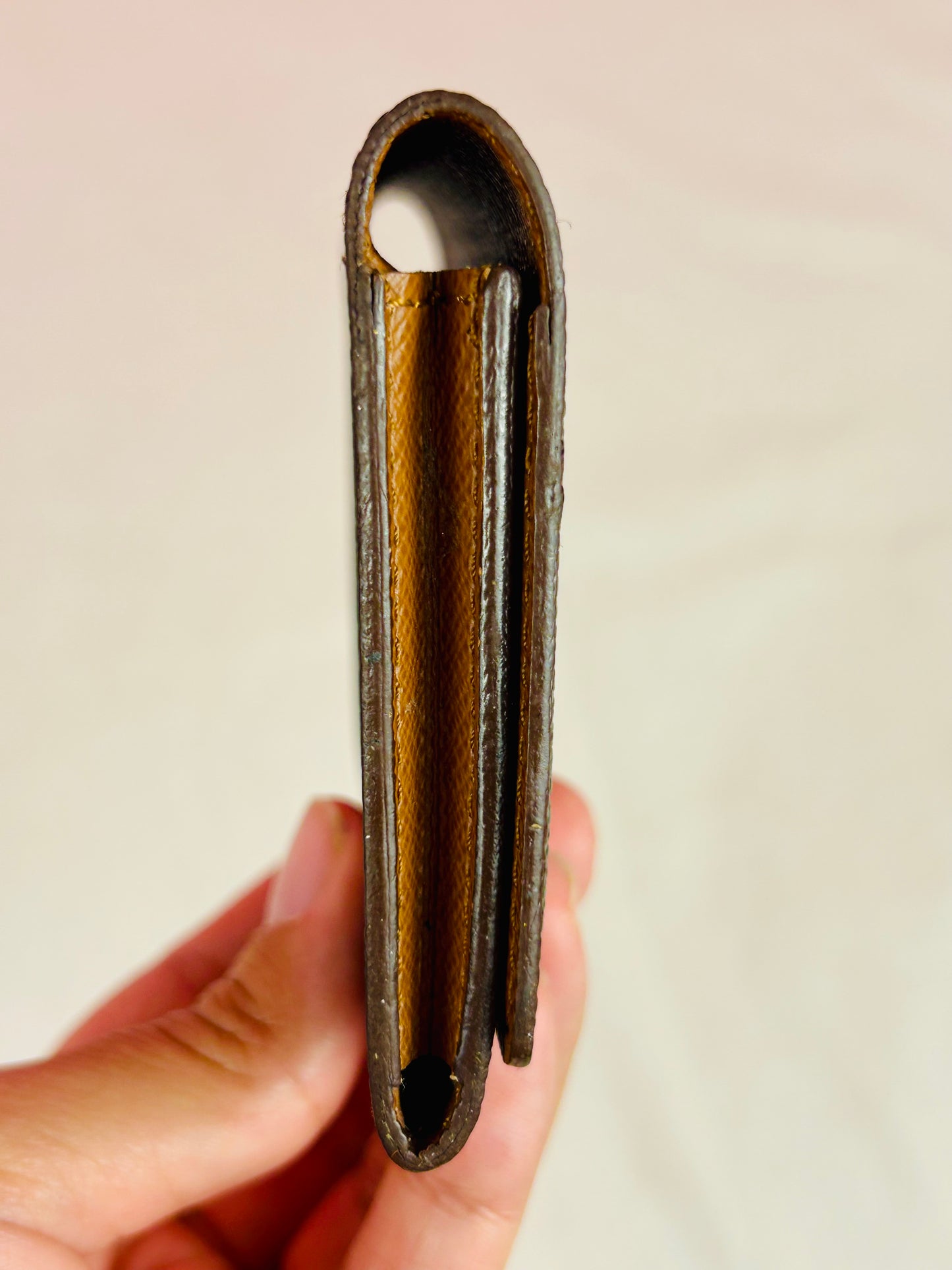 Card Case in Monogram