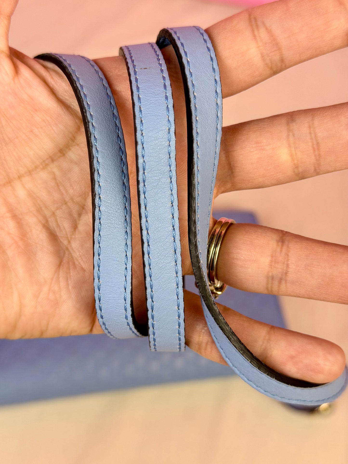 Blue Microguccimissia Wallet on Strap