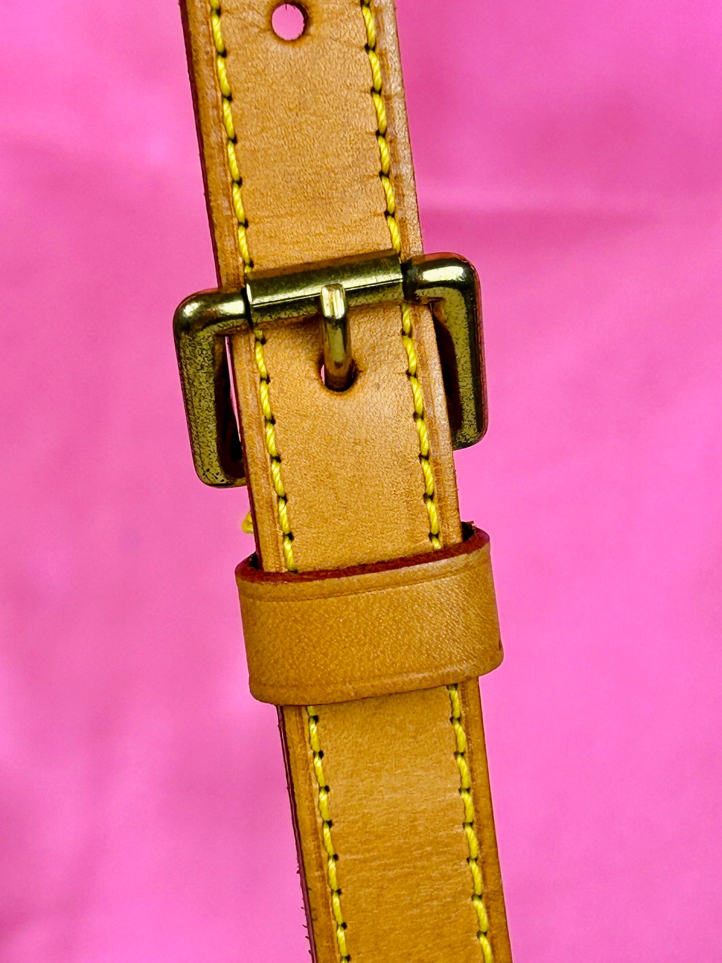Musette Salsa Short Strap