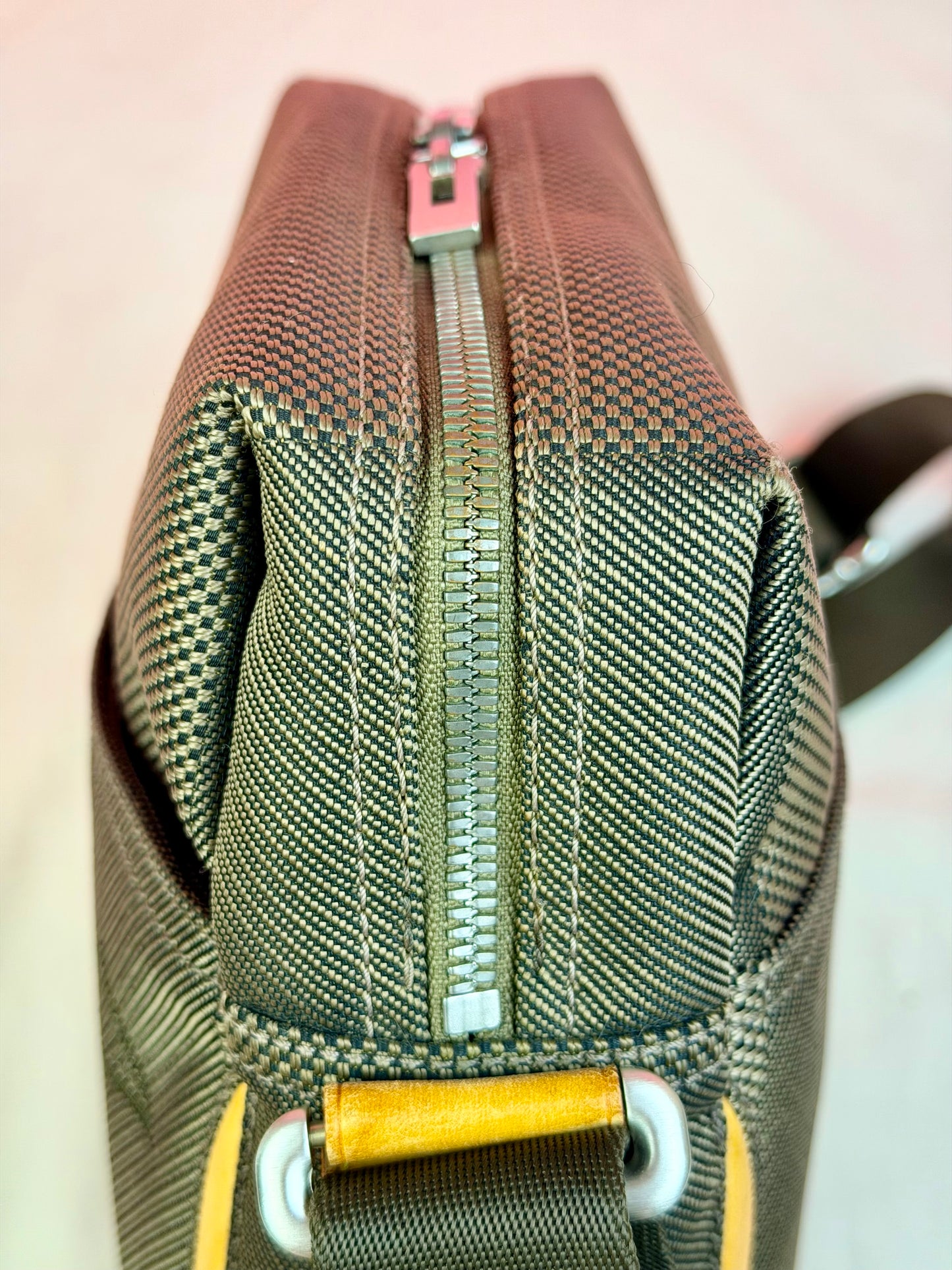 Louis Vuitton Citadin Terre Crossbody
