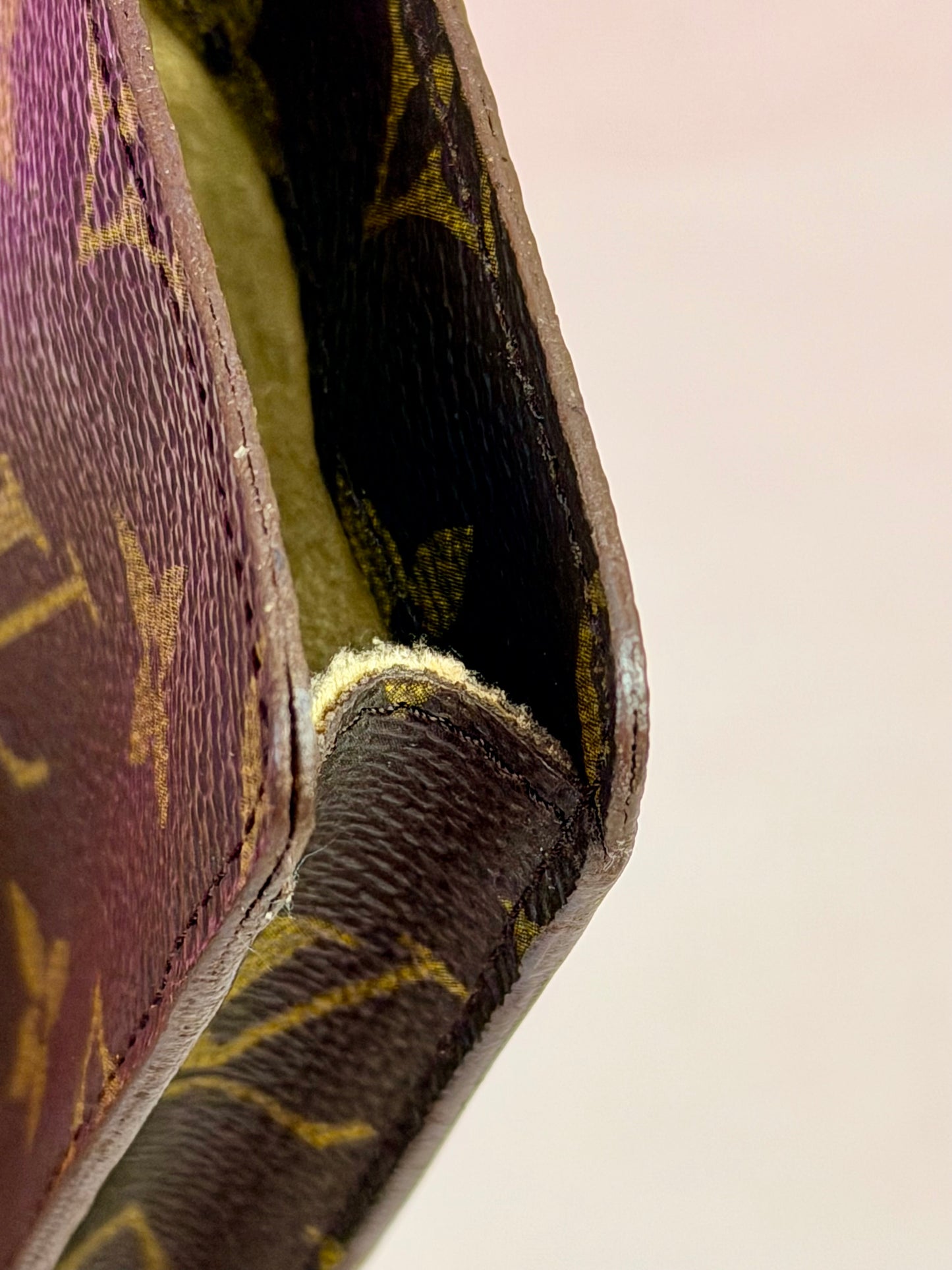 Eyeglass Case in Monogram