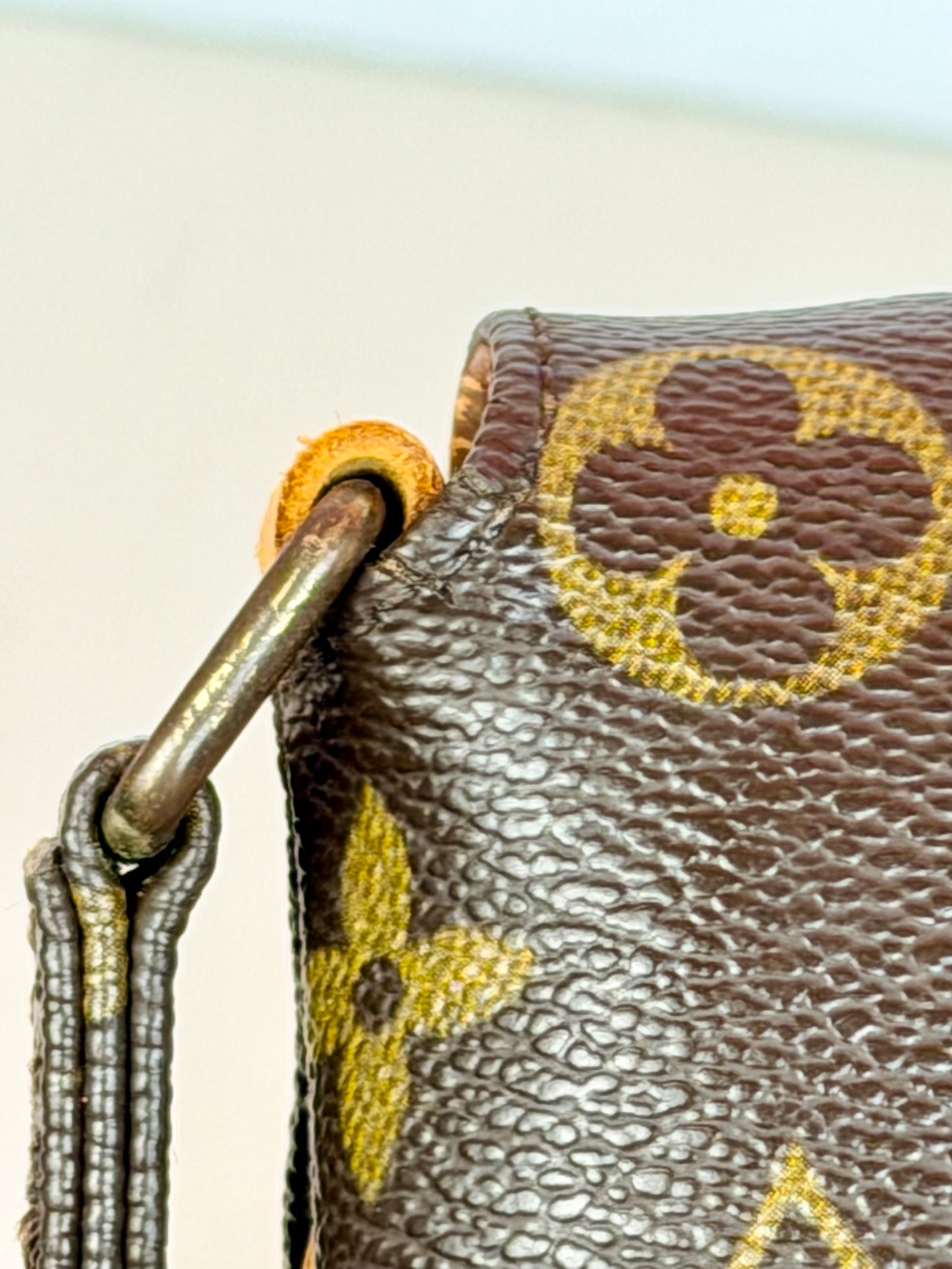 Musette Salsa Crossbody