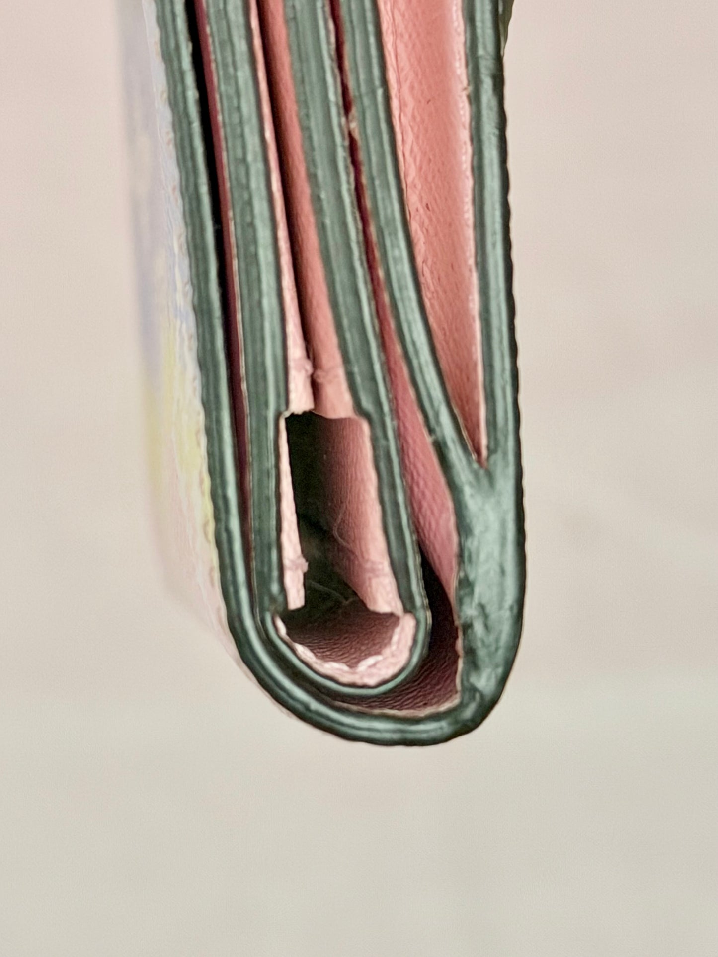 Louis Vuitton Escale Zoe Wallet in Pastel