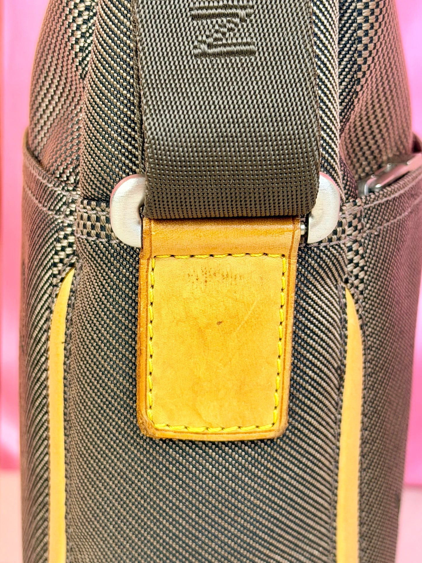 Louis Vuitton Citadin Terre Crossbody