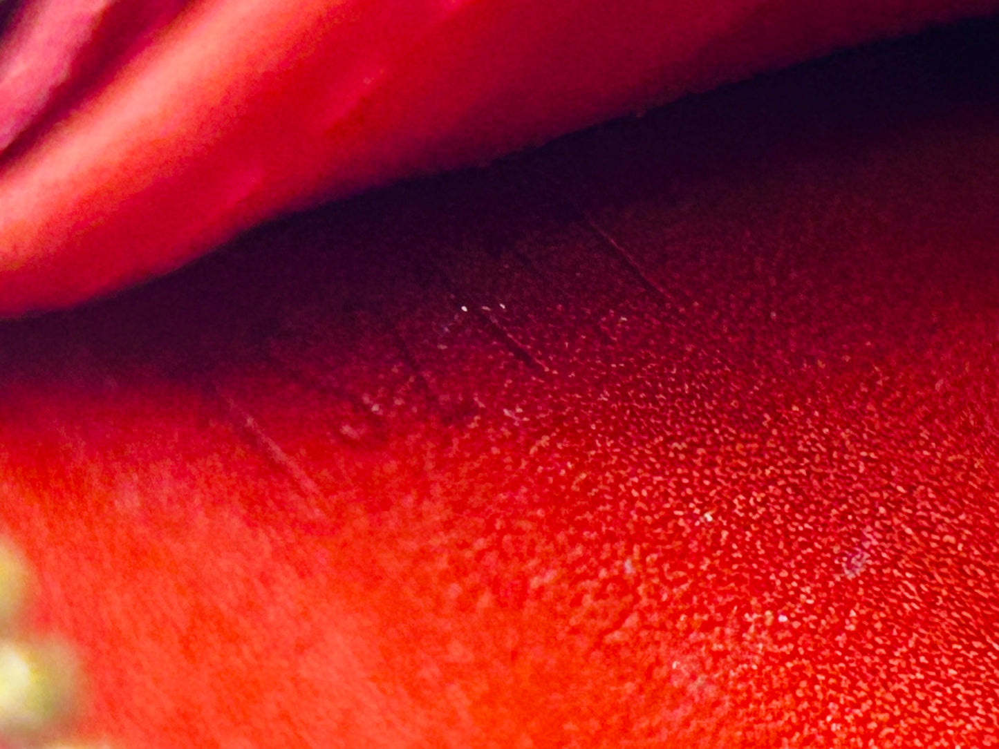 Red Vernis Zippy Card Case