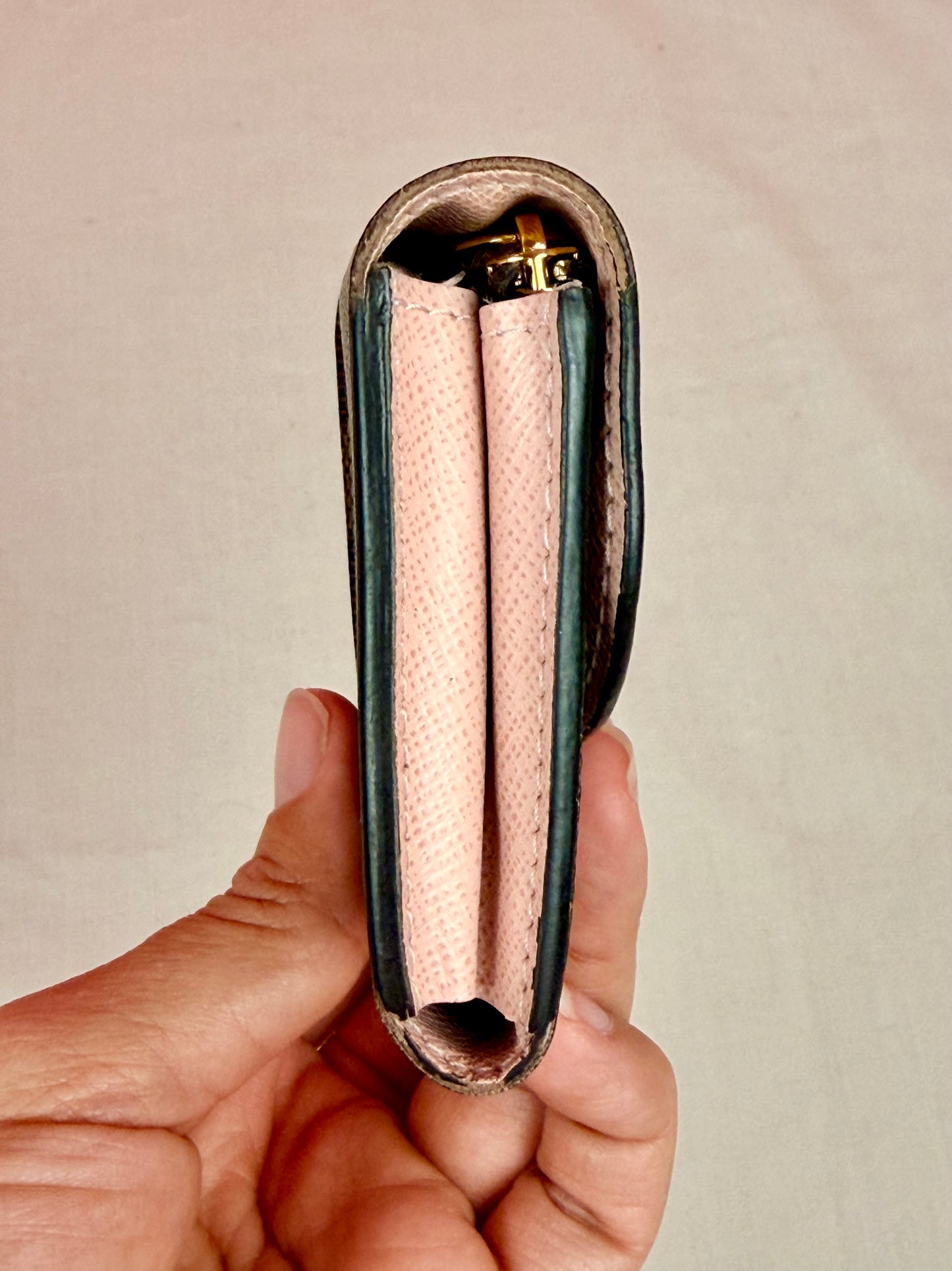 Rosalie Card Case in DE/Rose