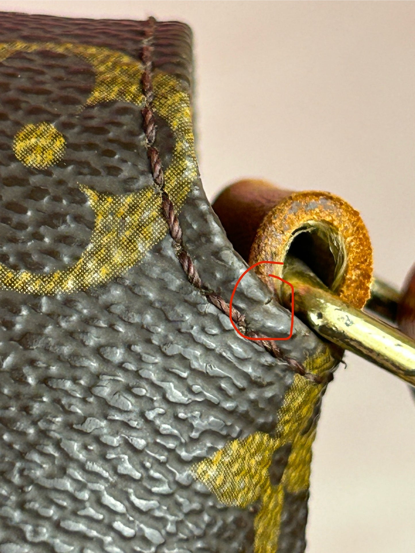 Musette Salsa Short Strap