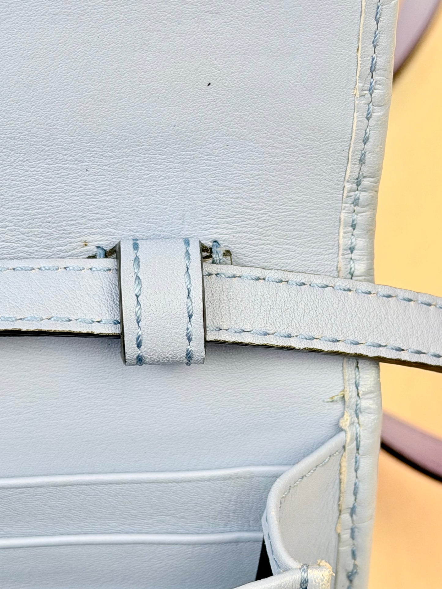 Blue Microguccimissia Wallet on Strap