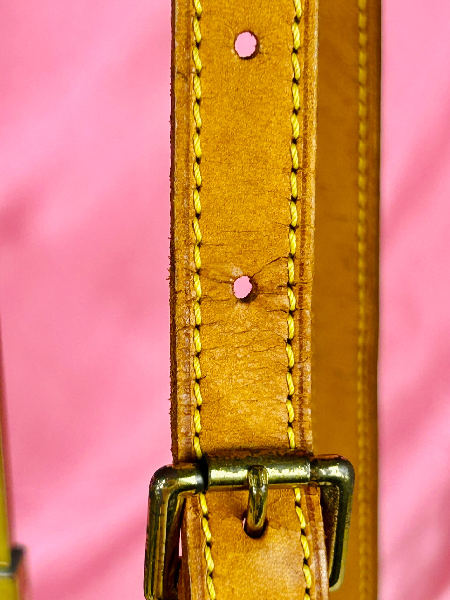 Musette Salsa Short Strap