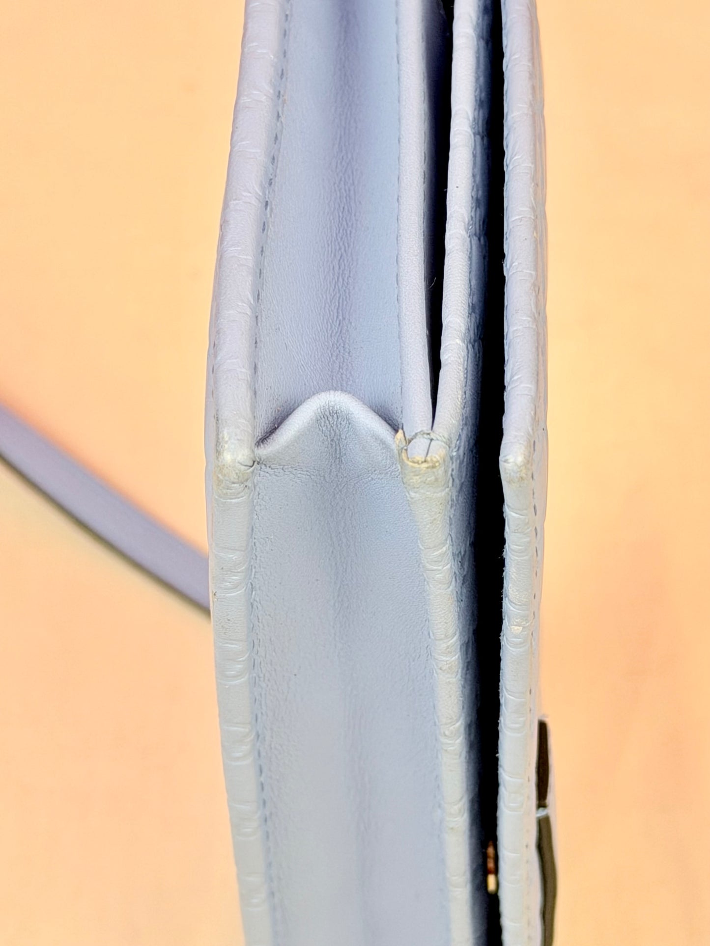 Blue Microguccimissia Wallet on Strap