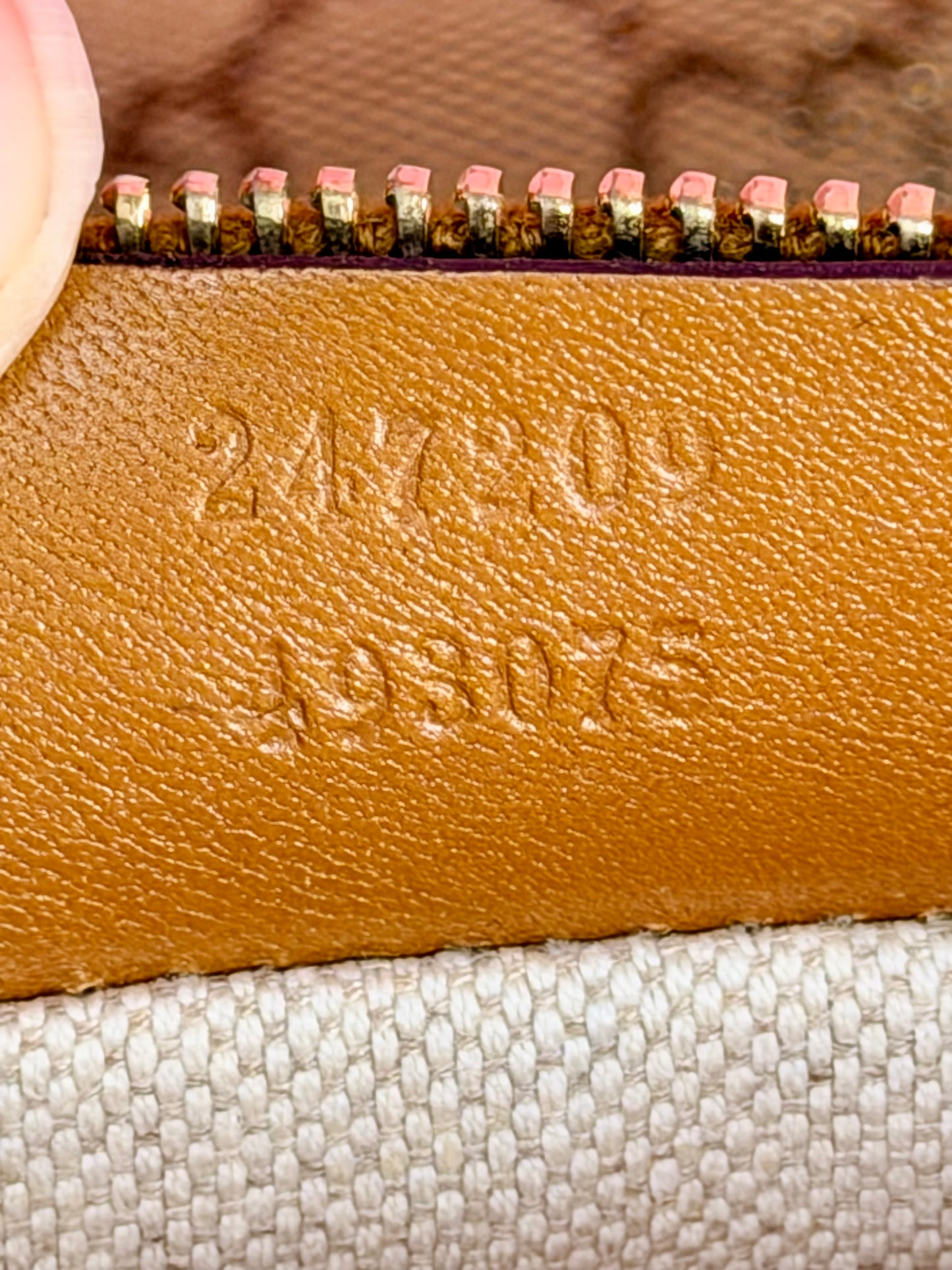 Brown Sparkle Gucci Tote