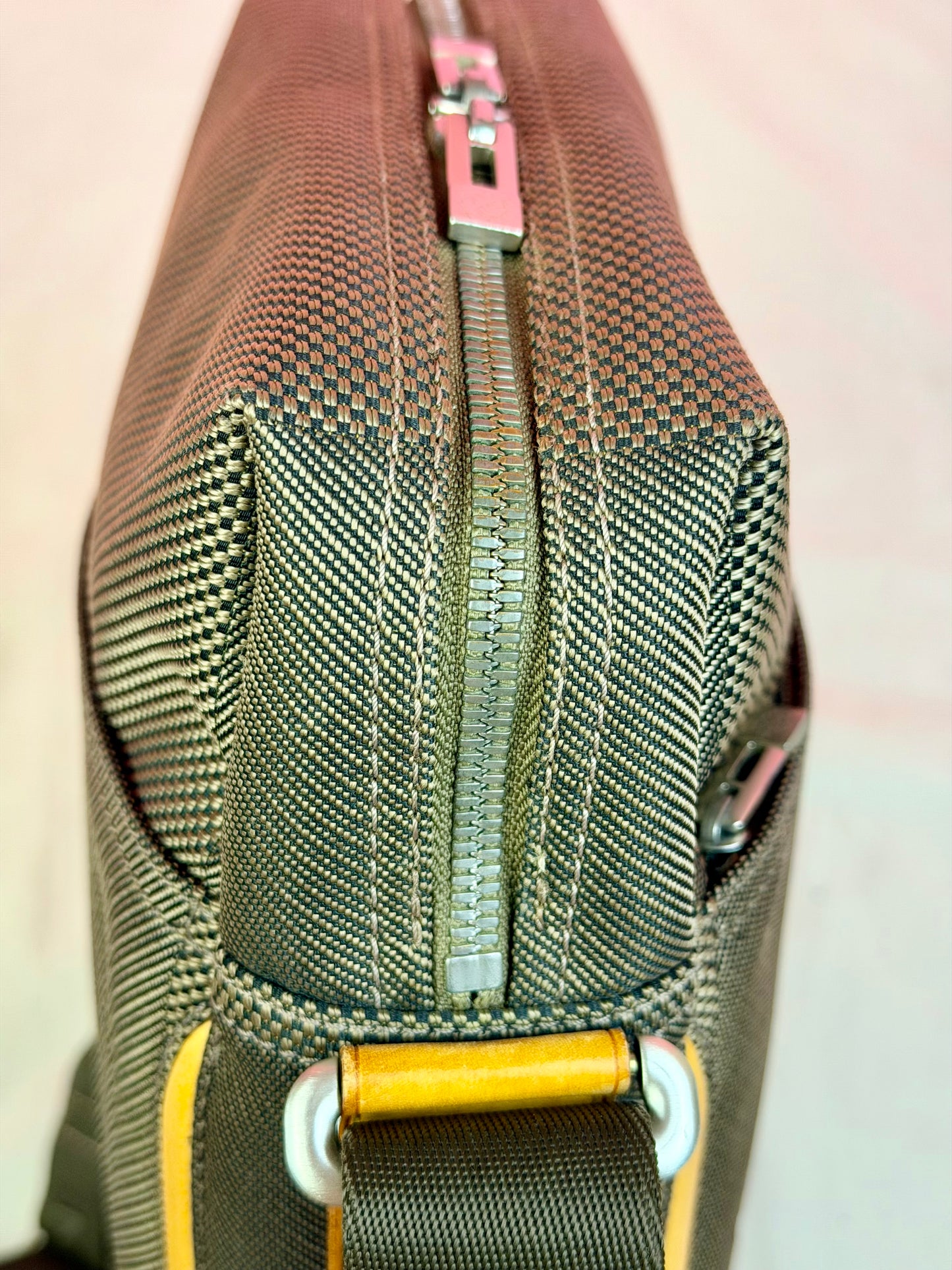 Louis Vuitton Citadin Terre Crossbody