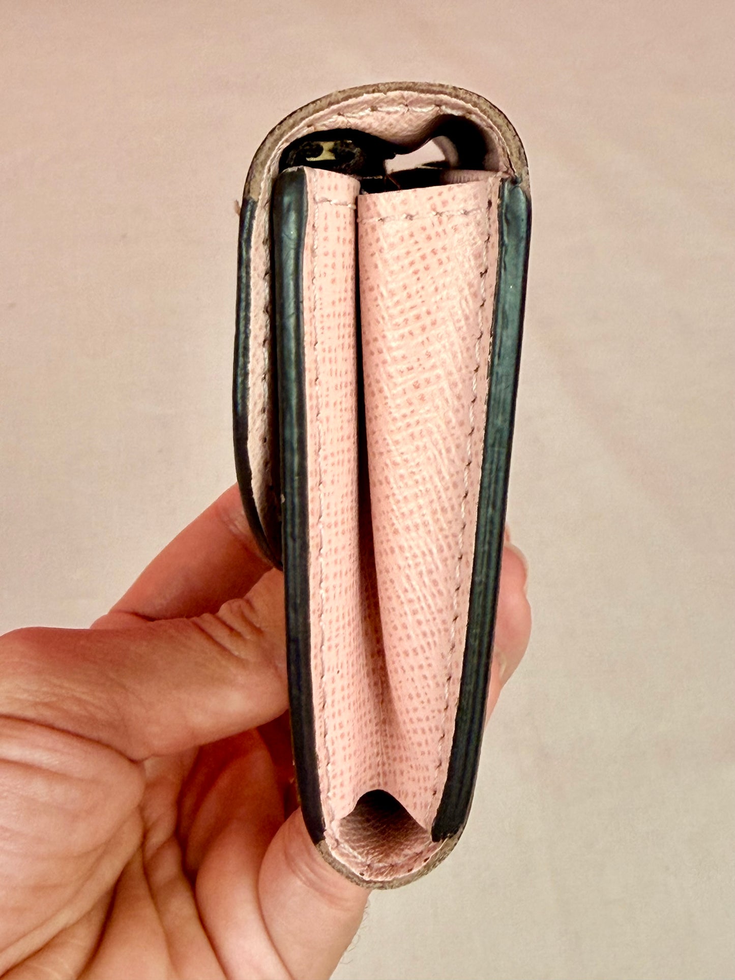 Rosalie Card Case in DE/Rose