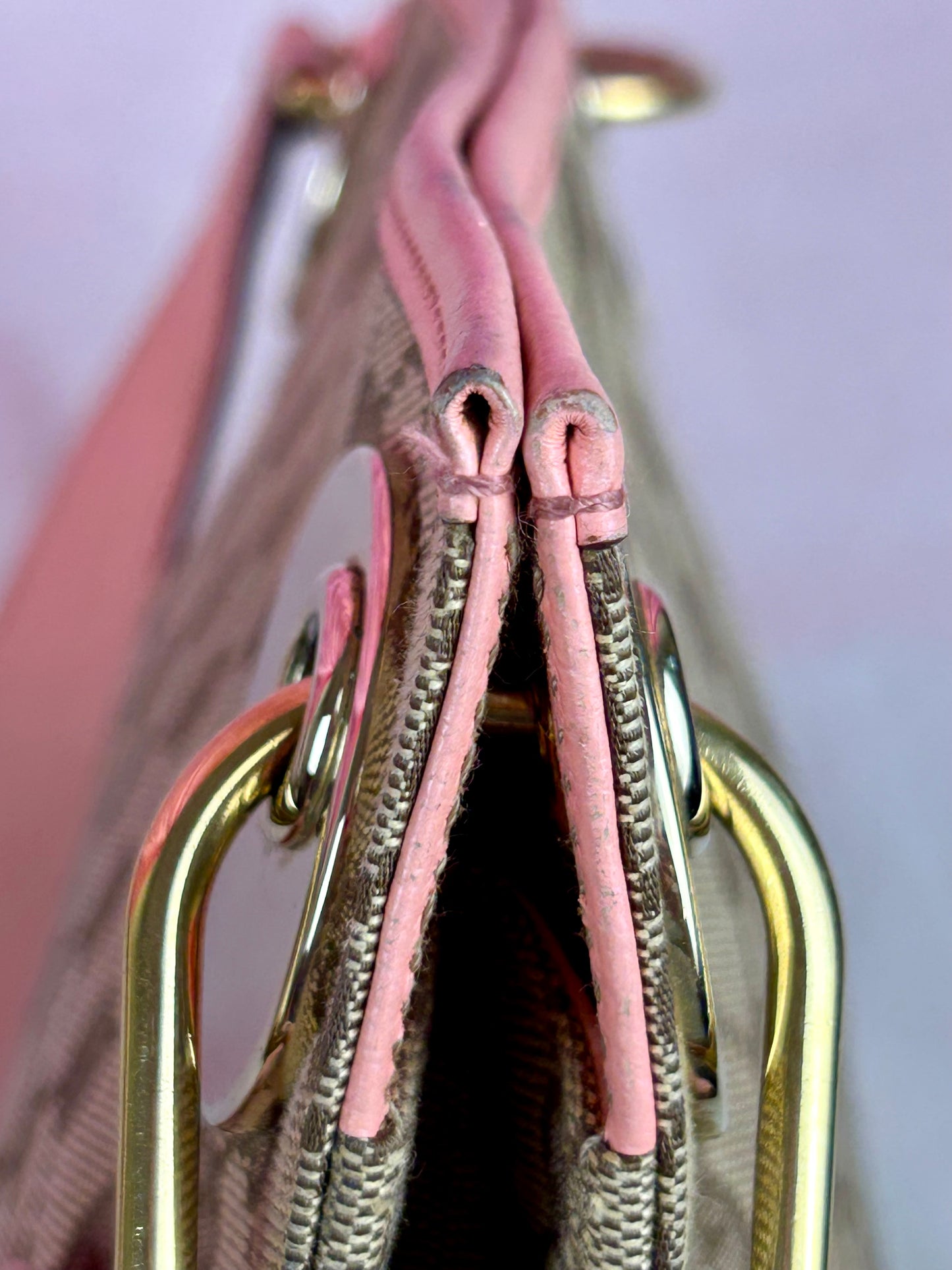 Gucci Pink Strap Supreme Crossbody