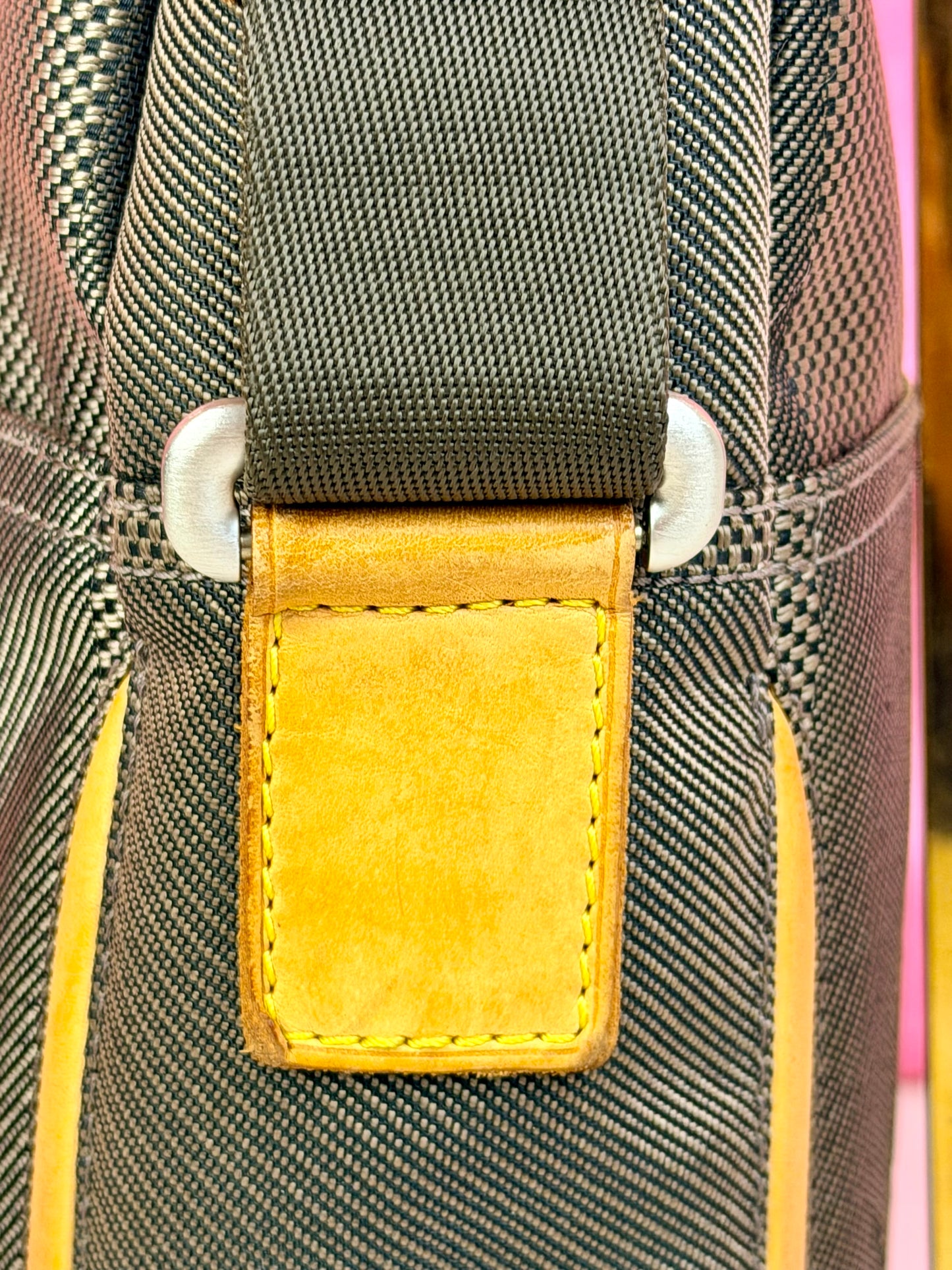 Louis Vuitton Citadin Terre Crossbody