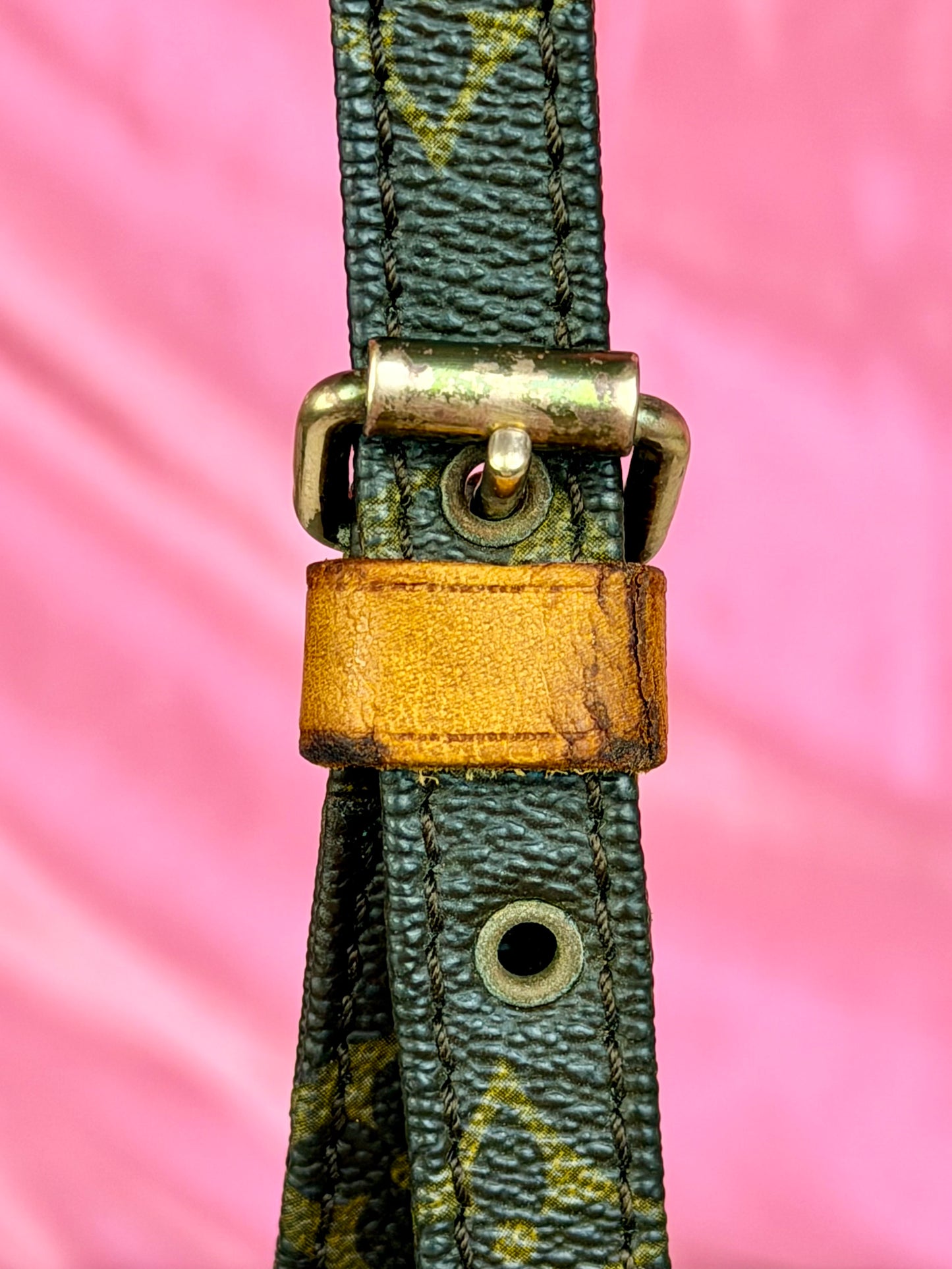 Musette Salsa Crossbody