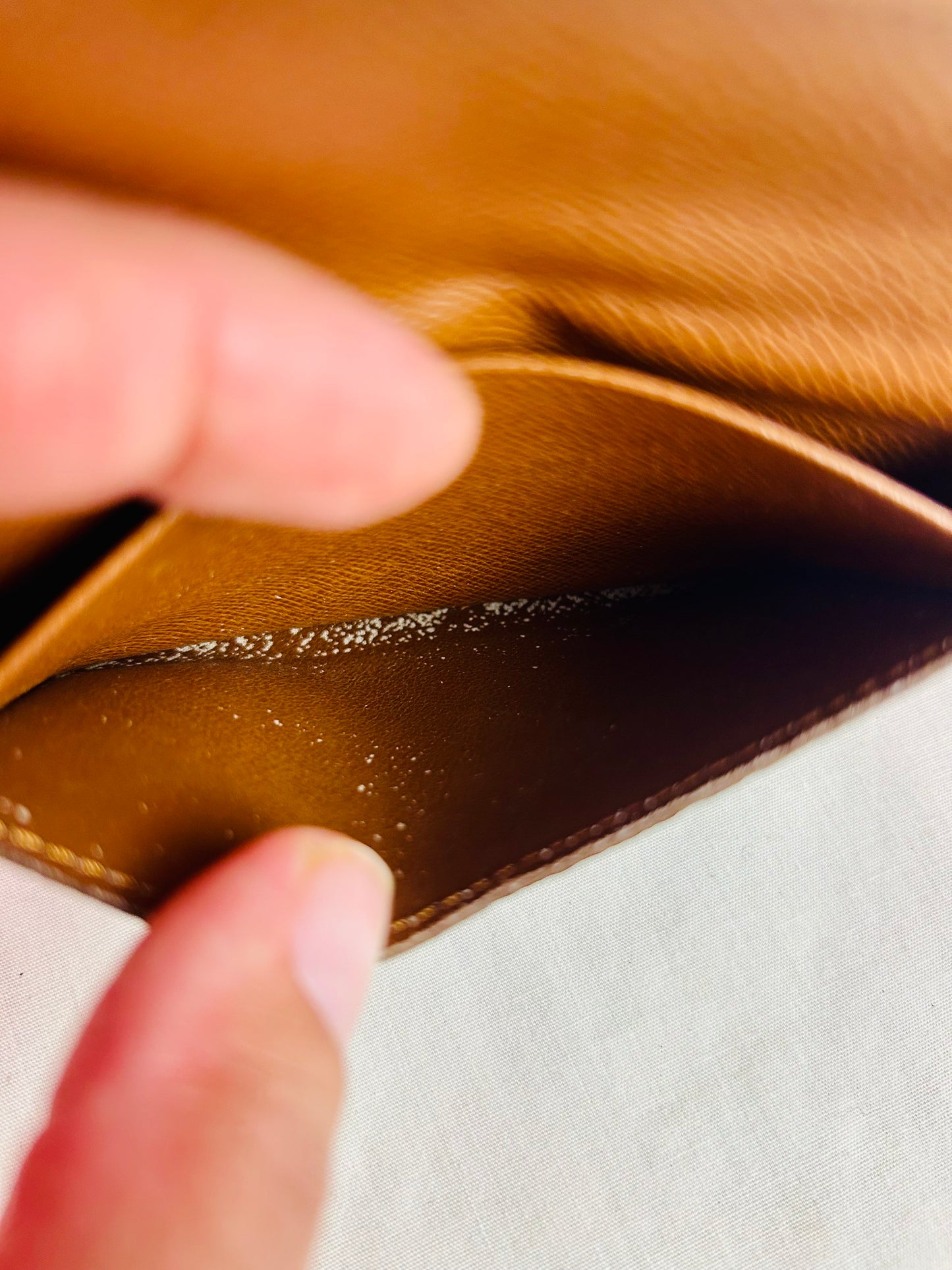 Card Case in Monogram