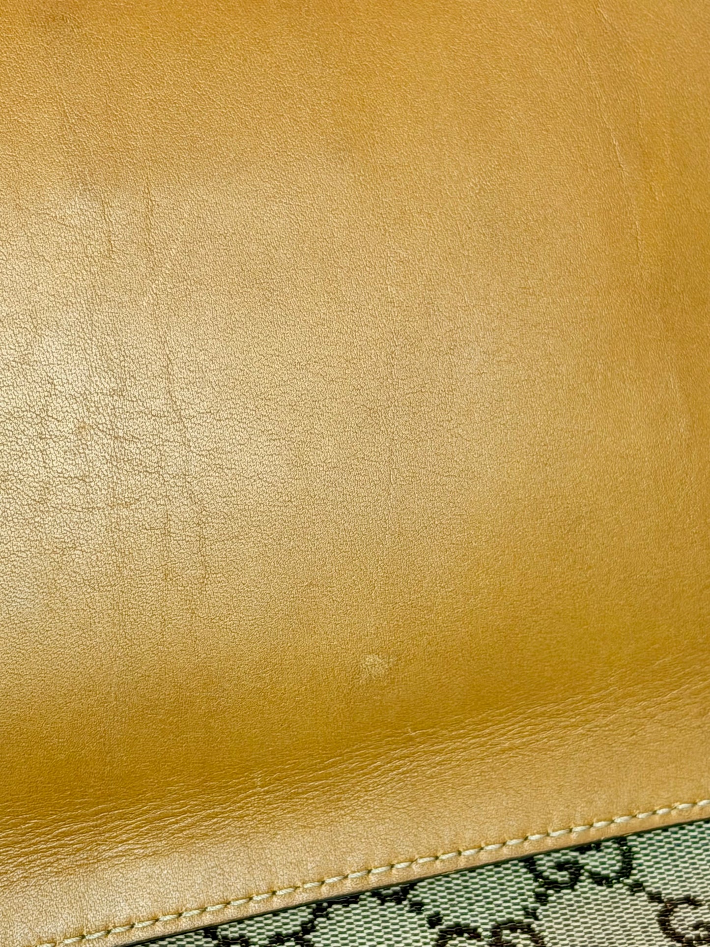 Brown Sparkle Gucci Tote