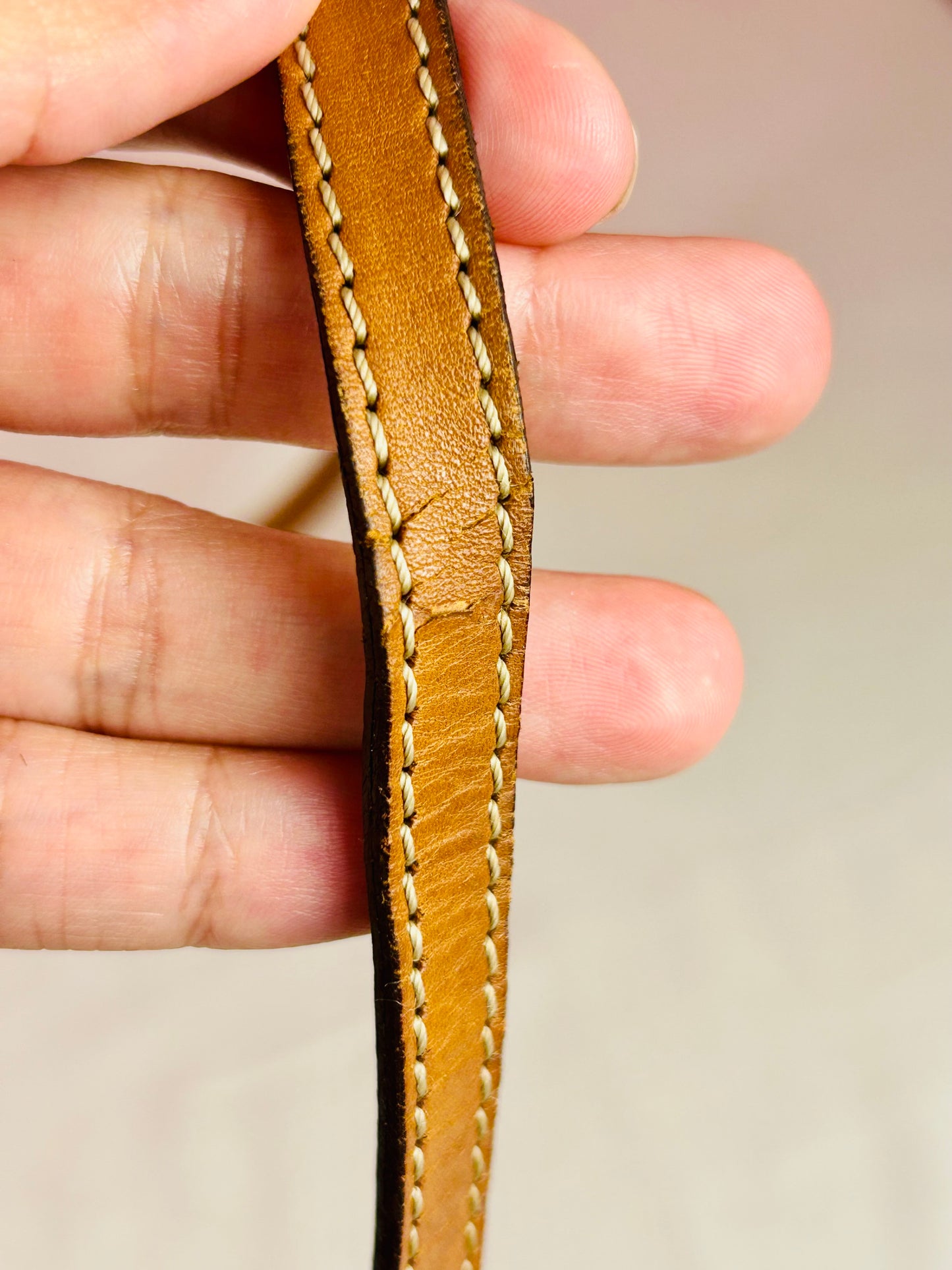 Celine Crossbody