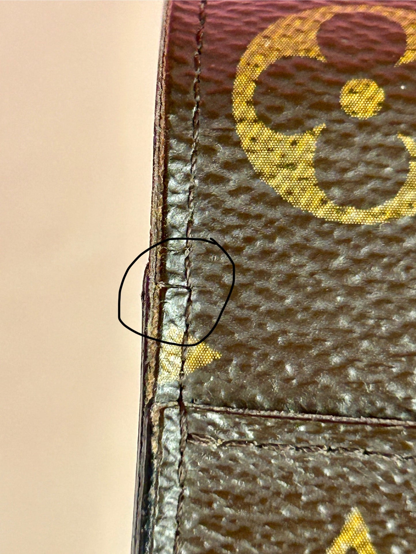 Sarah Wallet NM in Monogram/Brown