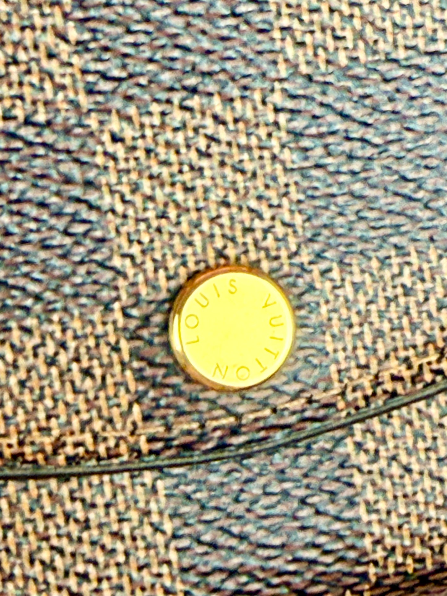 Rosalie Card Case in DE/Rose