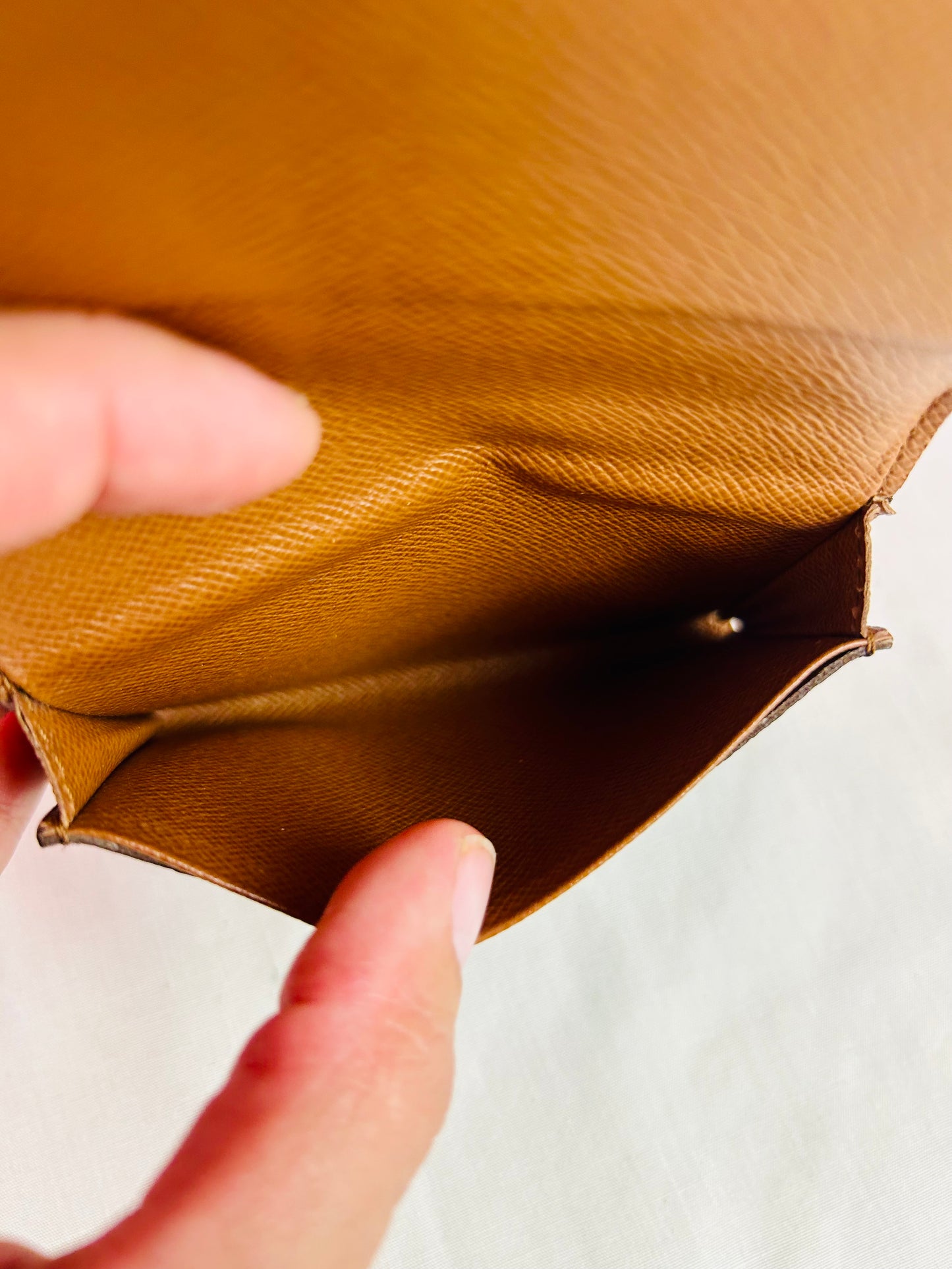 Card Case in Monogram