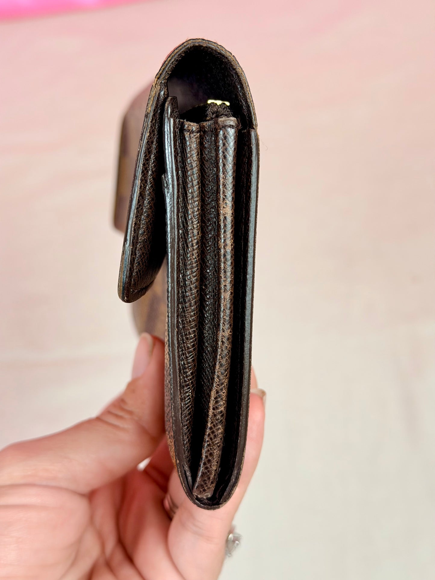 Sarah Wallet in DE (Old Model)