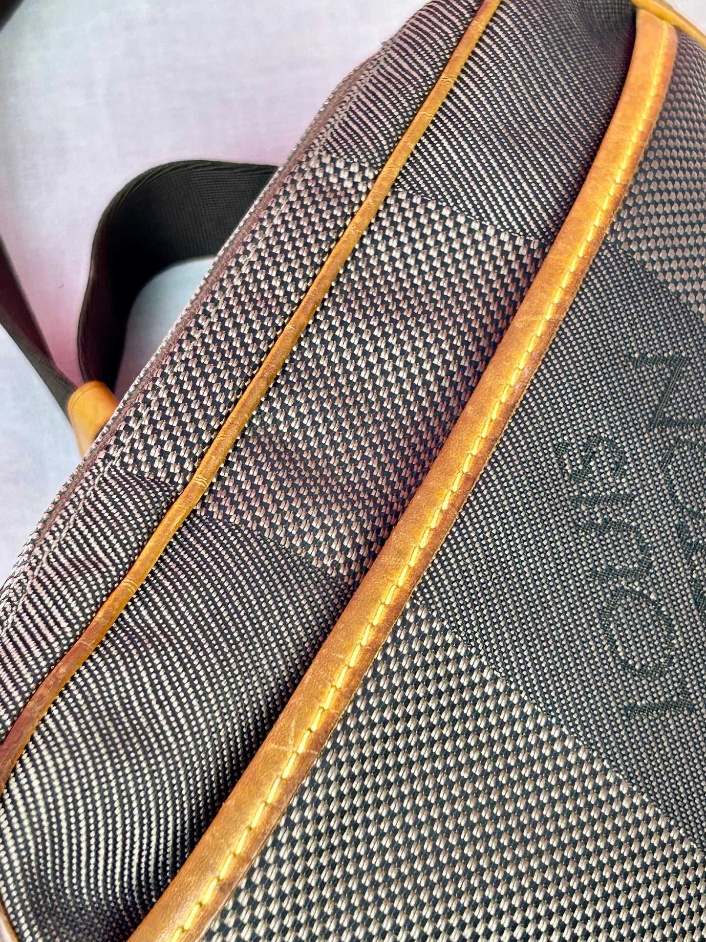 Louis Vuitton Damier Géant Bumbag