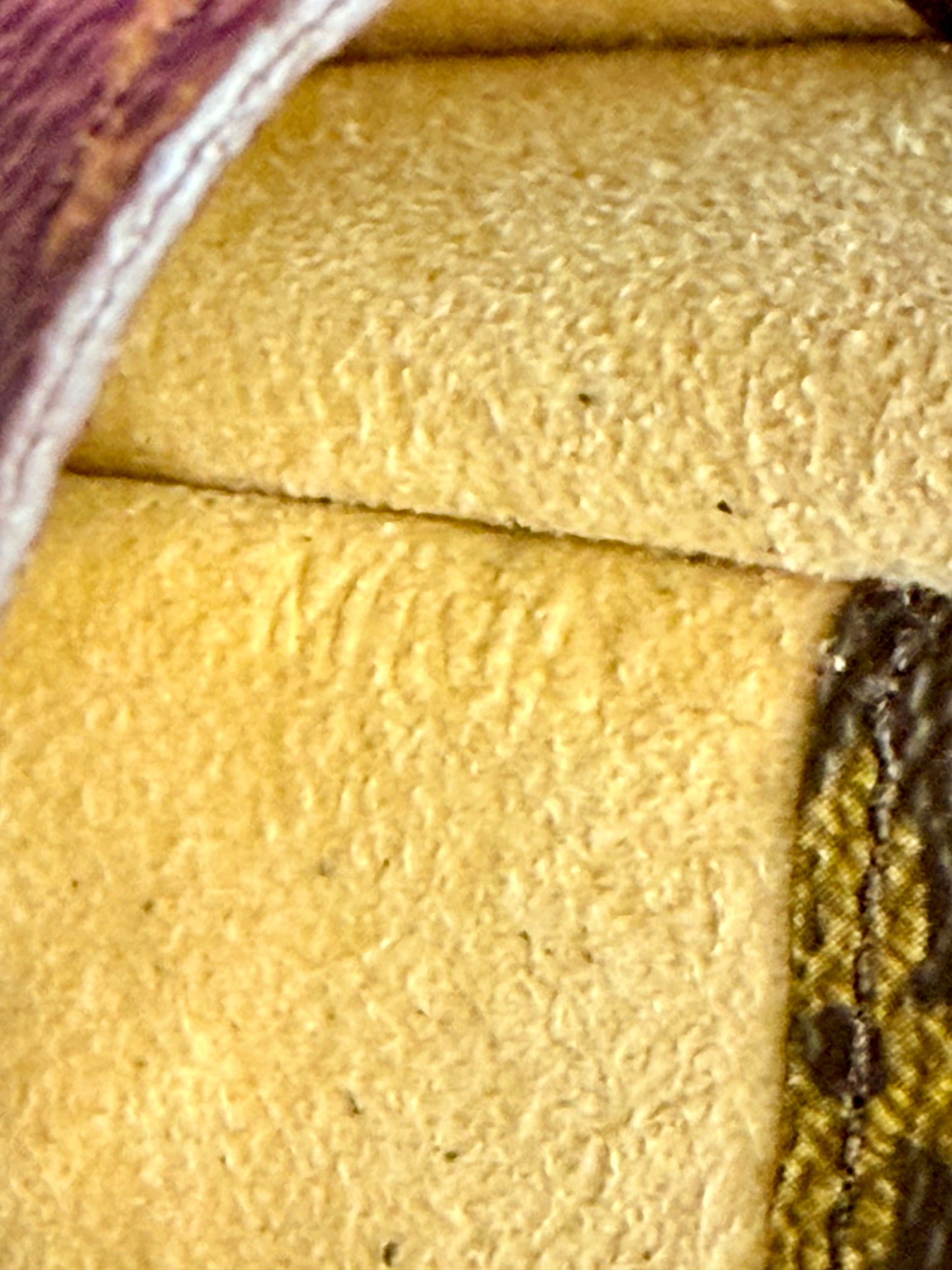 Eyeglass Case in Monogram