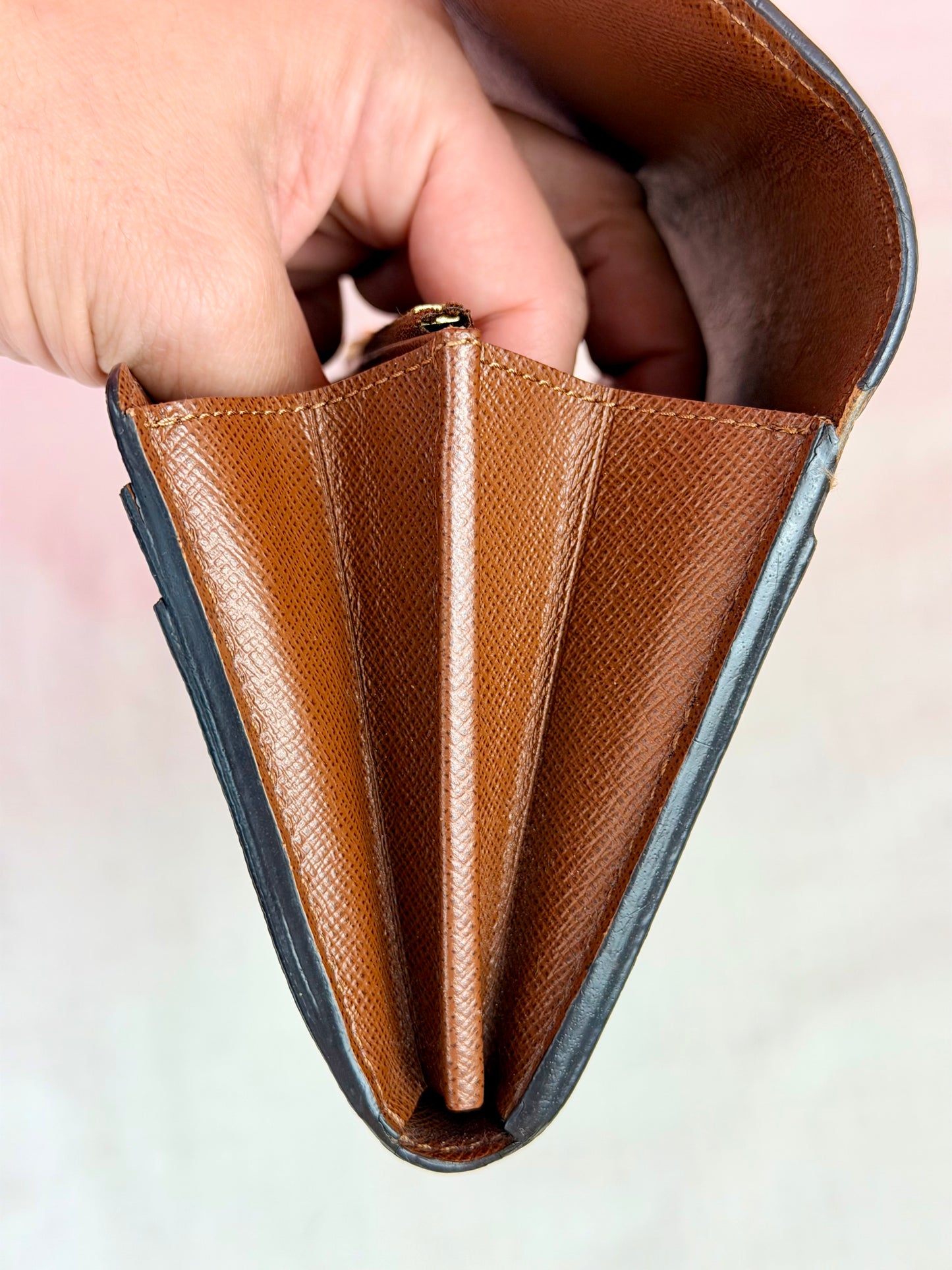 Sarah Wallet NM in Mono/Brown
