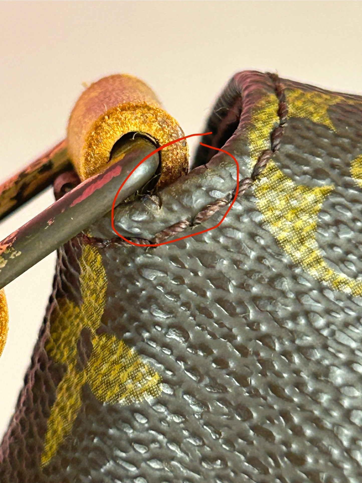 Musette Salsa Short Strap