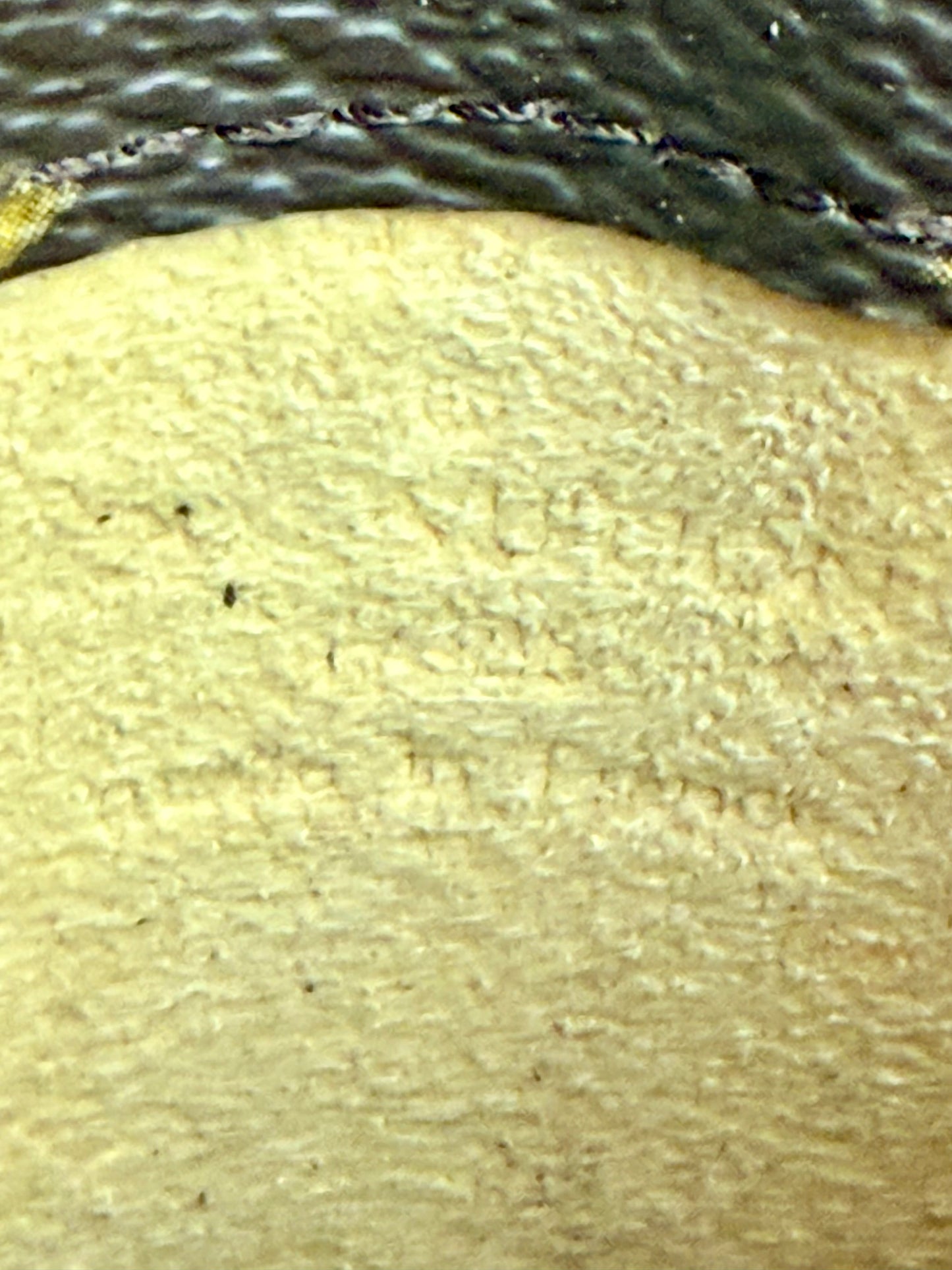 Eyeglass Case in Monogram