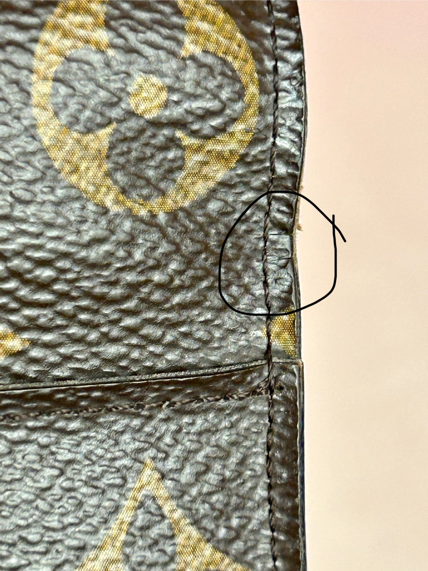 Sarah Wallet NM in Monogram/Brown