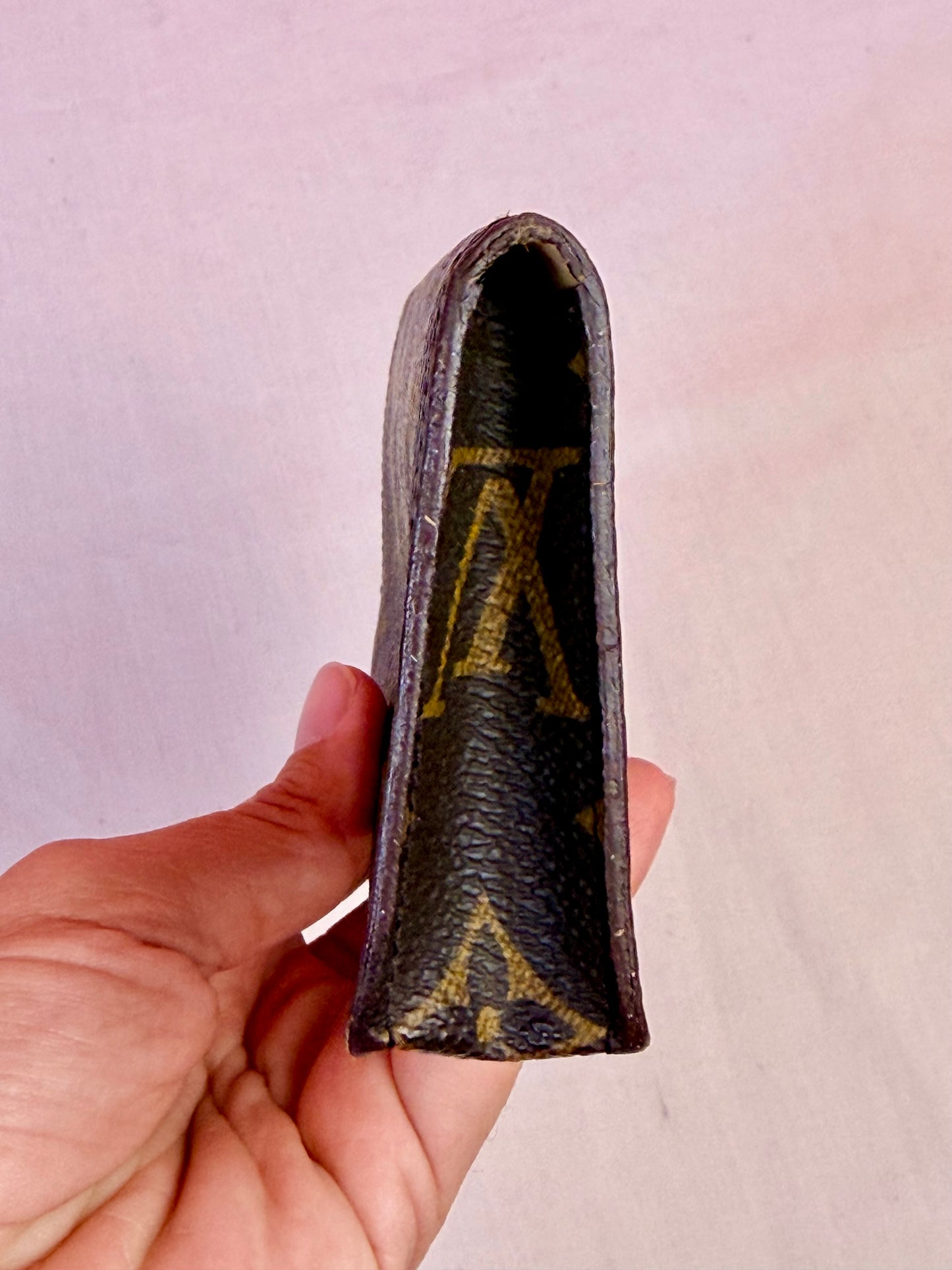 Eyeglass Case in Monogram