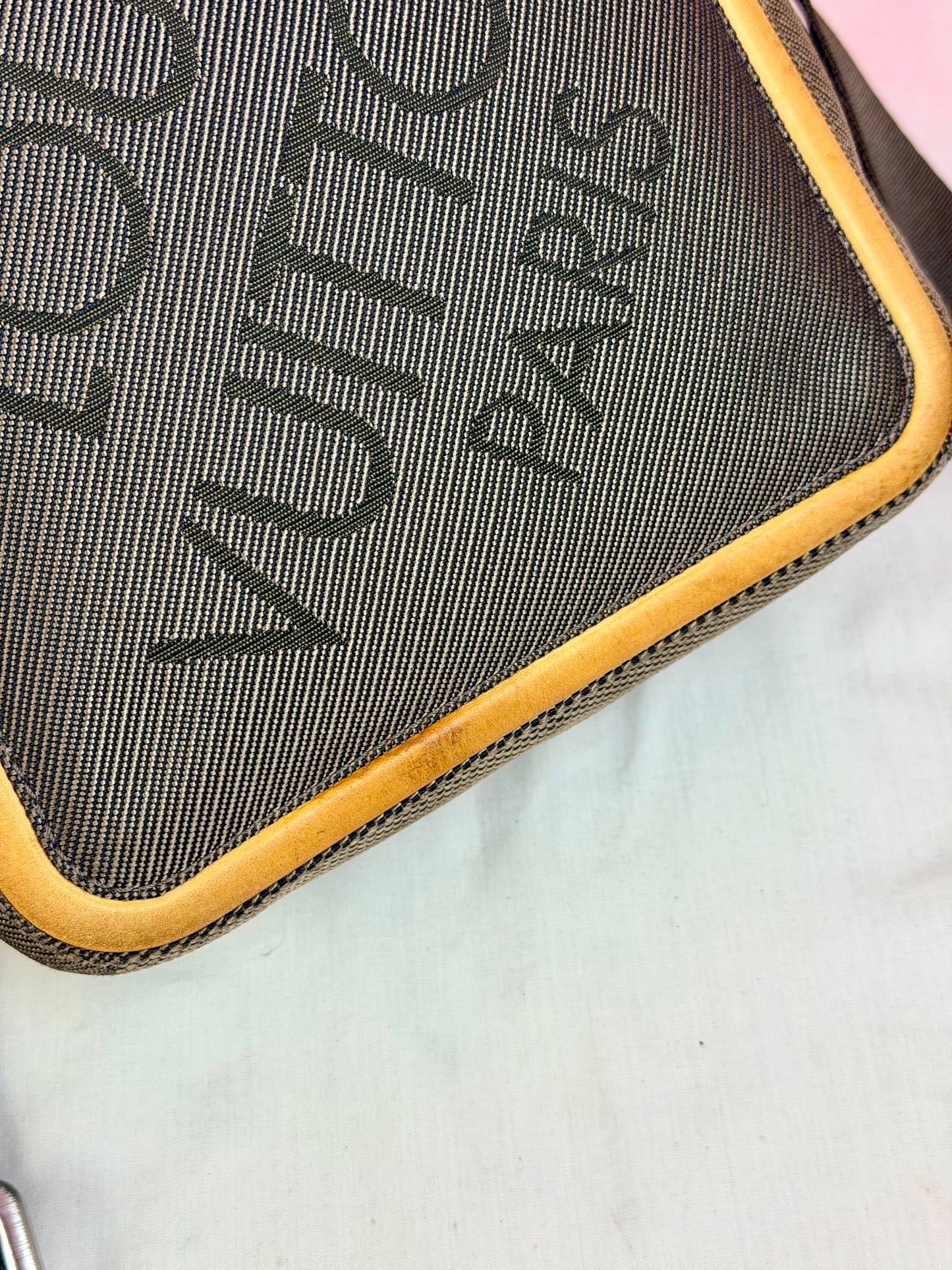Louis Vuitton Citadin Terre Crossbody