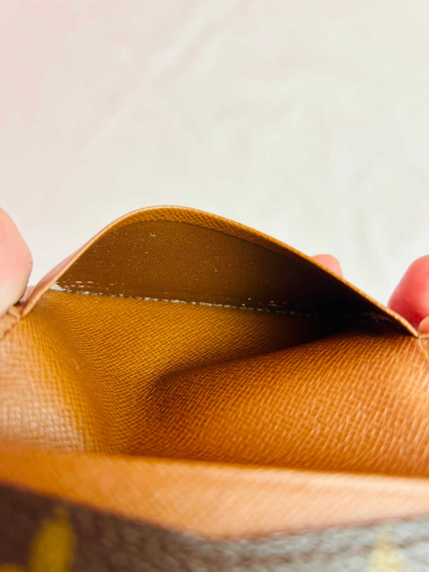 Card Case in Monogram