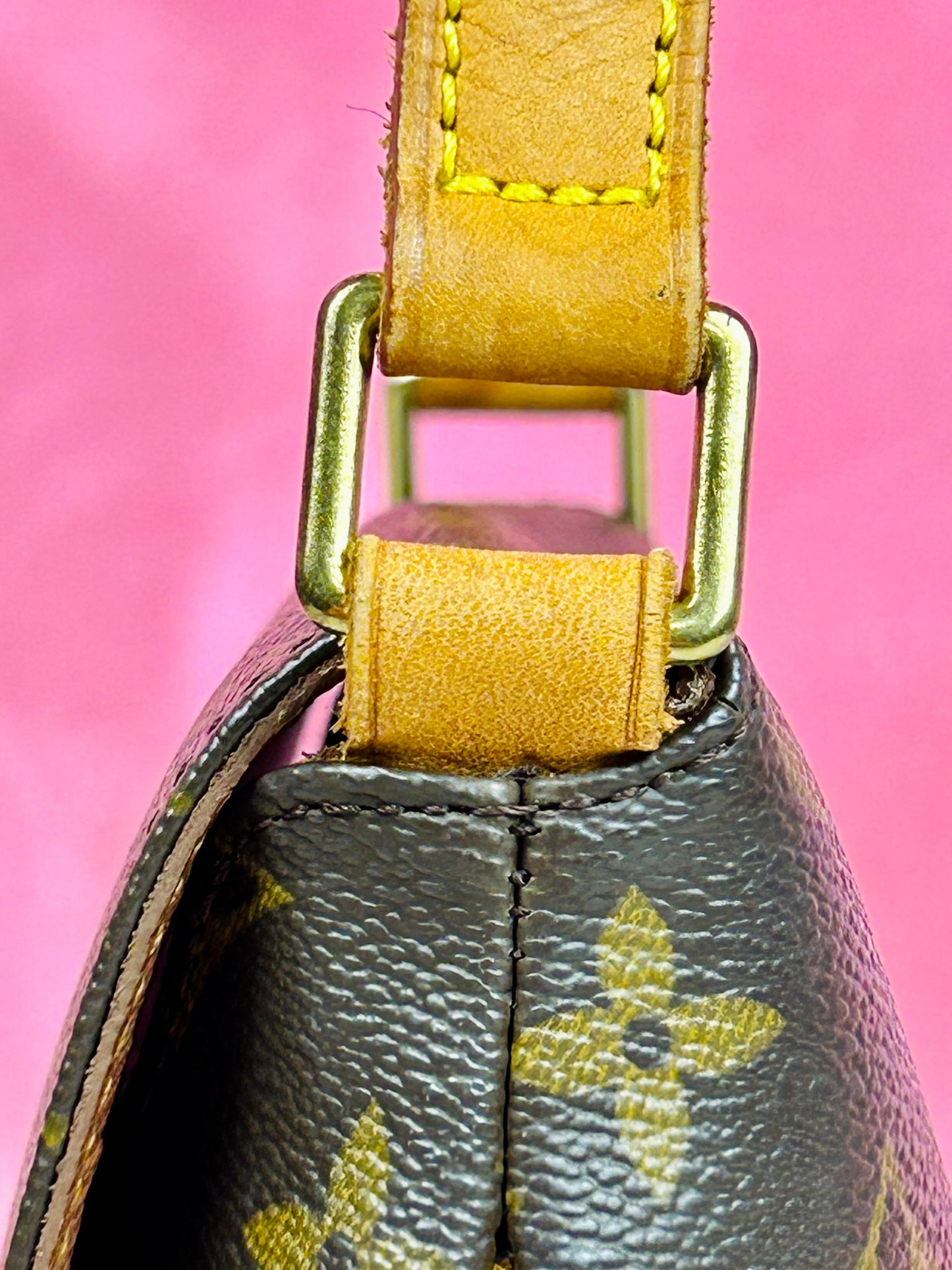 Musette Salsa Short Strap