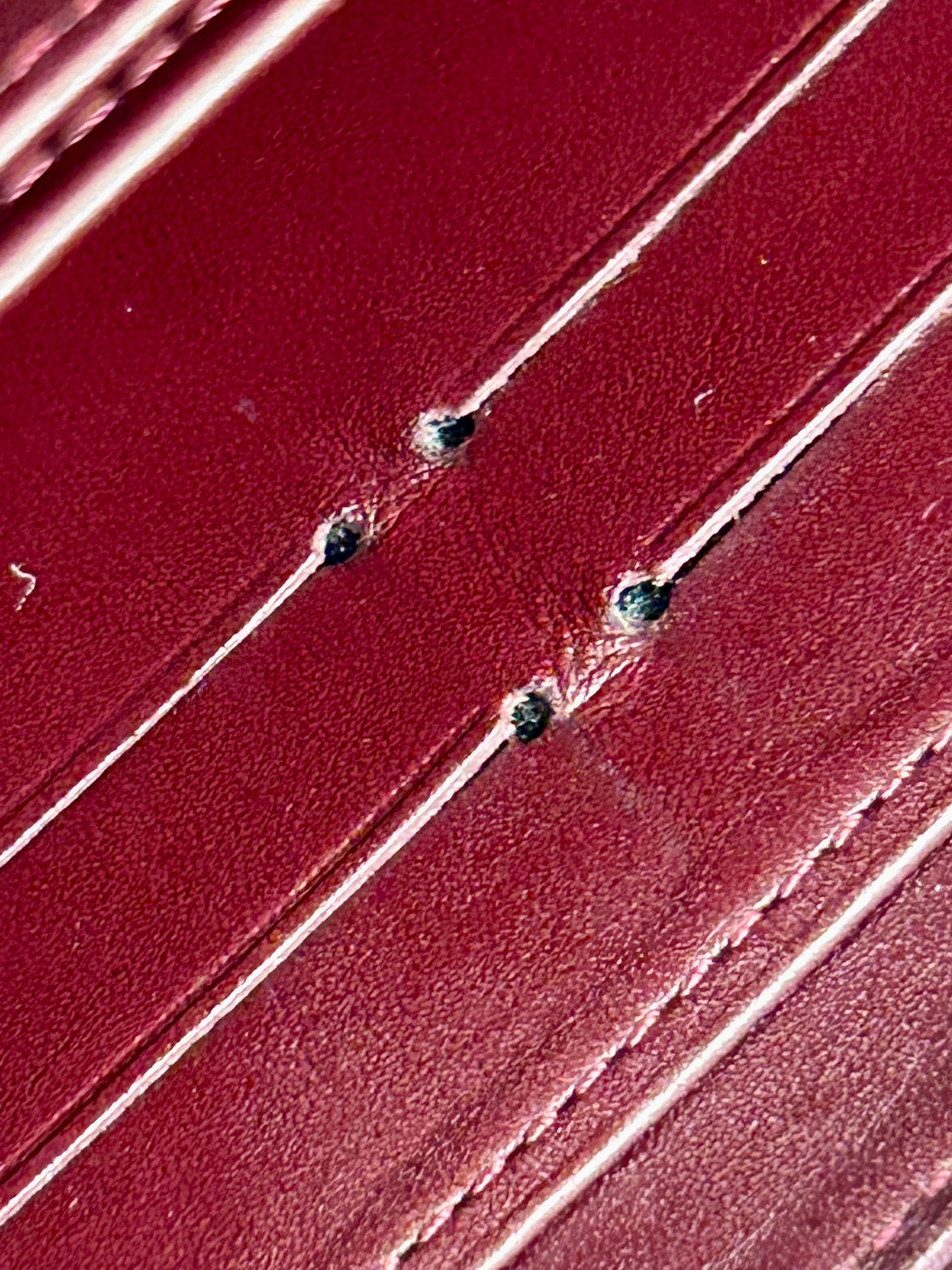 Magenta Vernis Zippy Wallet